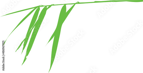 Vecteur de feuilles et tiges de bambous sur fond transparent
