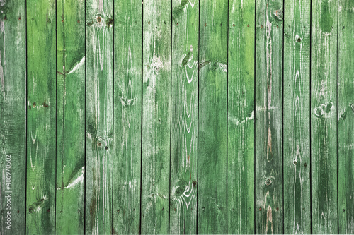 Green old wood texture background. rustic backdrop © Nelly