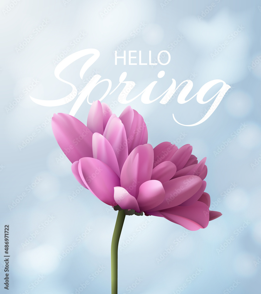 Hello spring banner with realistic pink chrysanthemum flower on a blurred blue background with bokeh. Vector illustration.