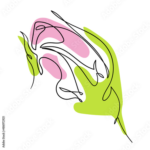 Vector one line illustration of a stylized rosebud with pink and light green color shapes. Floral element for invitation, label or fashion design. photo