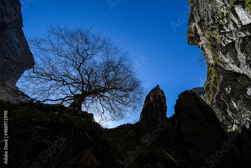 Silhouette of a tree without leaves among the rocks of Delika photo