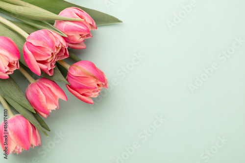 Fototapeta Naklejka Na Ścianę i Meble -  Pink tulip flower on pastel table background with copy space for text. International Women day, Mother day and Happy Valentine day concept.