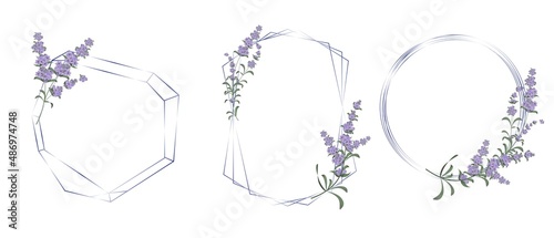 Vector floral set. Different polygonal and round frames, lavender flowers.