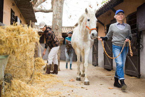 Experienced elderly female stable worker leading white horse by bridle outdoors along stalls. Equestrian business concept..