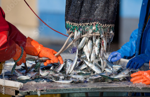 Fotografie pêche industrielle