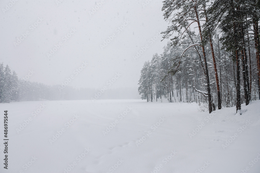 Blizzard day