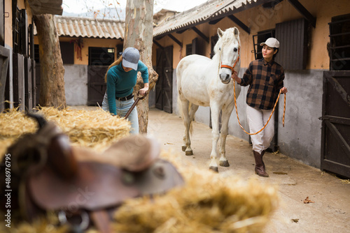 Foto Asian woman stable keeper leading white horse along stalls outdoor while young female worker stacking hay in yard