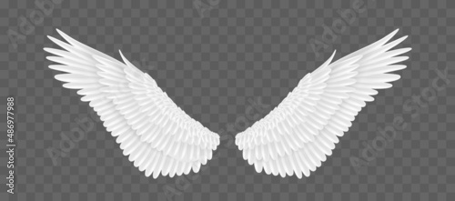 Pair of realistic angle wings isolated on transparent background. White feather fluffy wings of bird