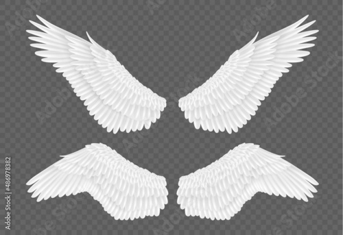 Fototapeta Naklejka Na Ścianę i Meble -  Pair of realistic wings on transparent background. White feather wings 3d for angel, bird design