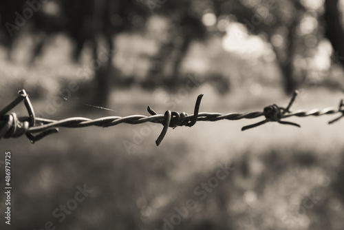 Barbed Wire close up image © nishandx