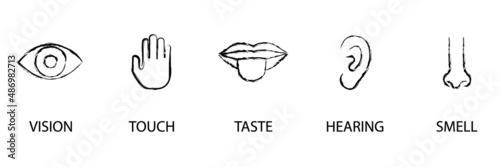 Sense organs in sketch style. Vector illustration. stock image. 