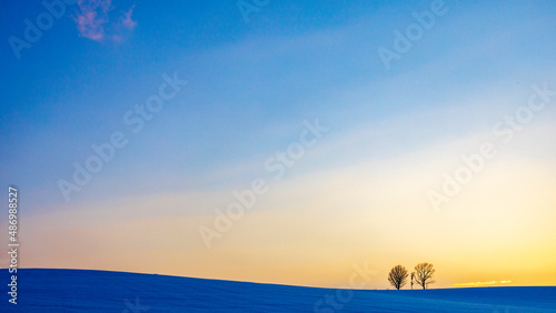 美瑛　北海道　冬　親子の木　夕焼け空