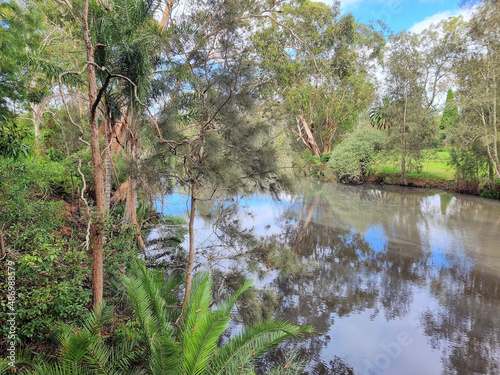 Tree lined riverbank at Dora Creek Cooranbong New South Wales Australia photo