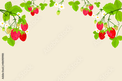 Strawberry Vine Stretched Background.