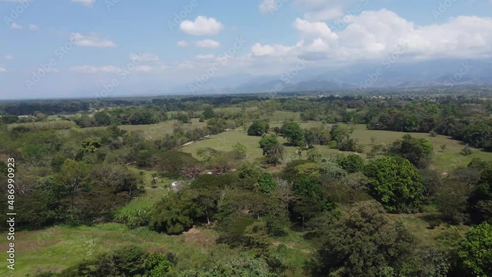 Paisaje muy verde y al fondo las grandes montañas Paisaje muy verde y al fondo las grandes montañas