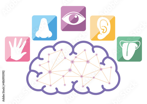 五感イメージと脳・インフォグラフィック