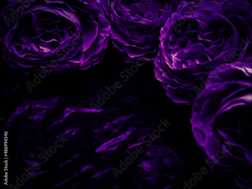 Beautiful abstract blue and purple flowers on black background, black flower frame, dark leaves texture, purple background, purple background, flowers for Christmas and valentine celebrations