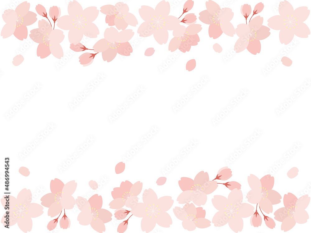 桜の花と花びらのイラストの背景素材