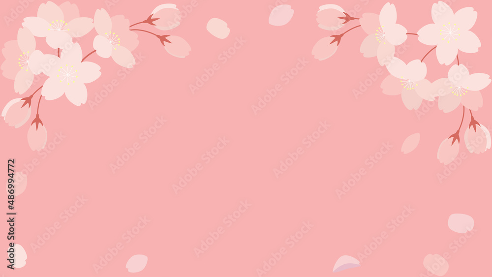 桜の花と花びらのイラストの背景素材　横長