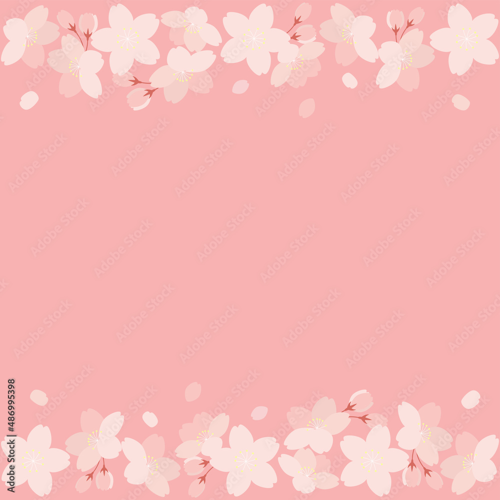 桜の花と花びらのイラストの背景素材　正方形