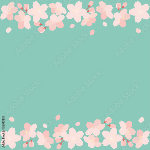 桜の花と花びらのイラストの背景素材 正方形