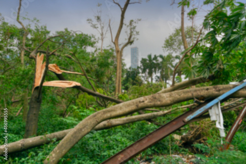 Blurred image of Super cyclone Amphan has uprooted tree which fell on ground. The devastation has made many trees fall. Highrise building of Kolkata in background. Kolkata, West Bengal, India.