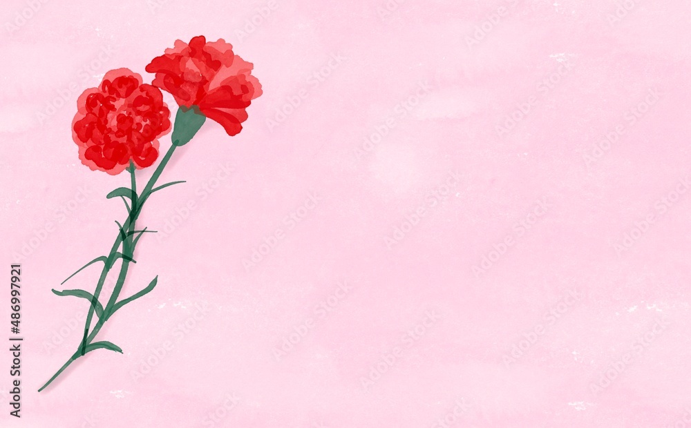 Fototapeta premium 水彩画。水彩で描いたカーネーション。水彩タッチのカーネーションと背景。Watercolor painting. Carnations painted with watercolors. Carnations and background with a touch of watercolor.