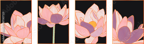 Luxury  lotus flower wallpaper Black and golden background Modern art mural wallpaper Decorative floral grass