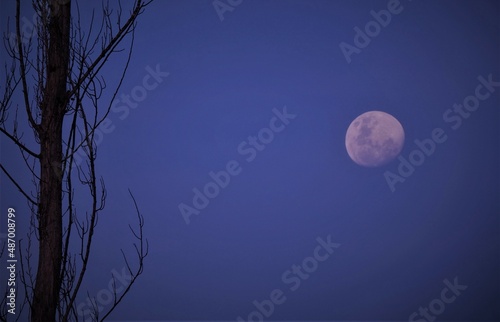 Luna llena de noche