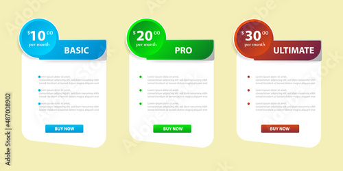 set of pricing table, order, box, button, list for web, Pricing Table Template with Three Plan Type. Pricing table, banner, button, list and bullet with plan for website in flat design.