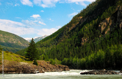 Mountain in the Altai forest