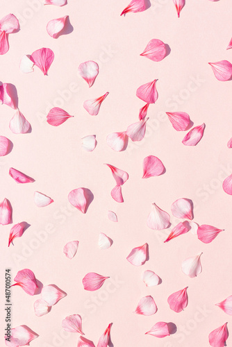 Delicate pink solid background with geranium petals