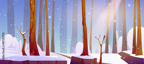 Winter landscape with white snow, tree trunks and path in daylight. Vector cartoon illustration of natural park, garden or forest with bare trees, snowfall and sunshine