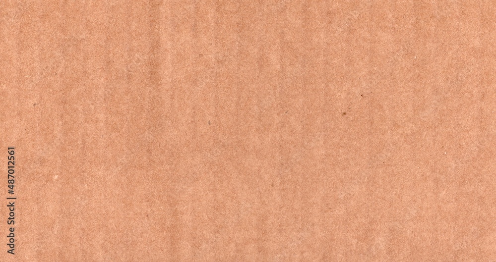 Fototapeta premium cardboard texture background 