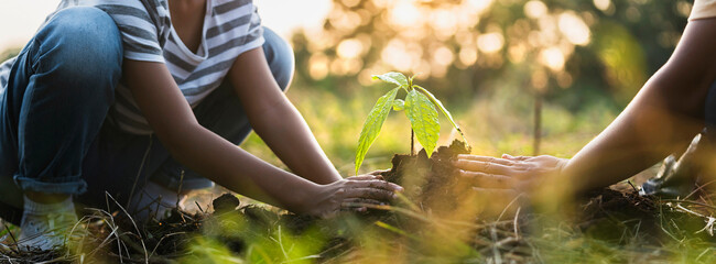 mother with children helping planting tree in nature for save earth. environment eco concept