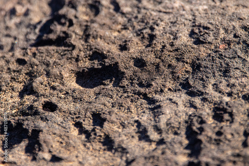 rough sandstone texture