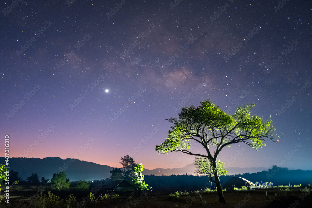 Long exposure shot of a lonely tree with the Milky way in the sky Long exposure shot of a lonely tree with the Milky way in the sky
