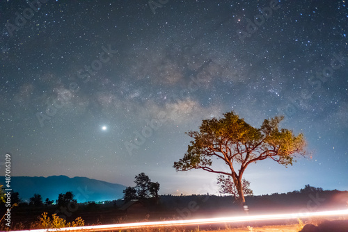 Long exposure shot of a lonely tree with the Milky way in the sky