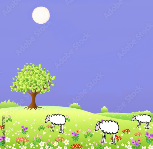 sheep grazing in the meadow