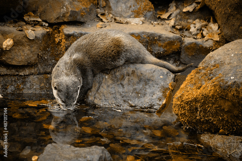 Just anotter day