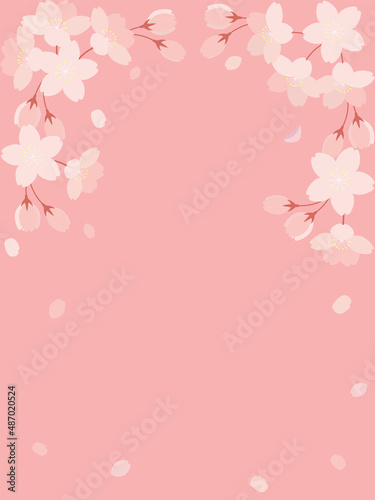 桜の花と花びらのイラストの背景素材 縦長
