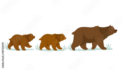 three Bears