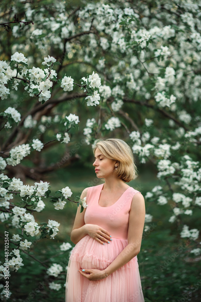 a pregnant young woman in a spring blooming garden next to a blooming apple tree a pregnant young woman in a spring blooming garden next to a blooming apple tree