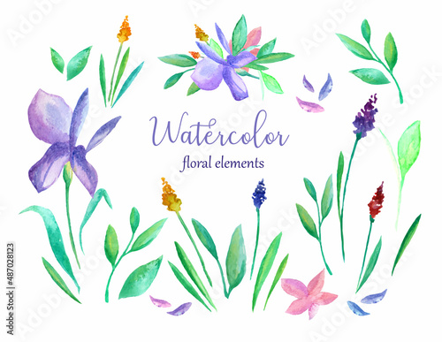 Vector watercolor floral set. Floral design elements.