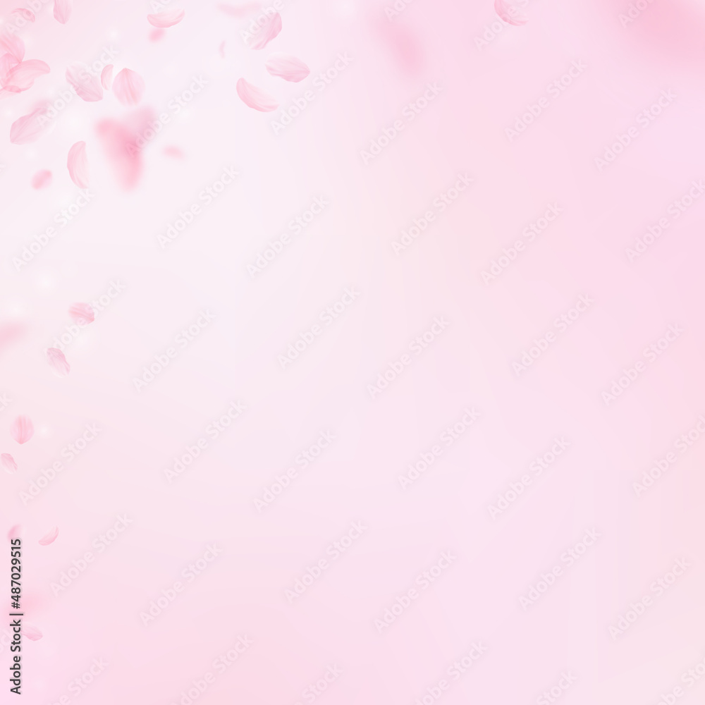 Sakura petals falling down. Romantic pink flowers corner. Flying petals on pink square background. Love, romance concept. Resplendent wedding invitation.