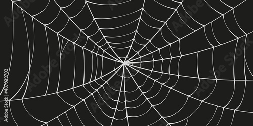 Scary spider web. White cobweb silhouette isolated on black background. Doodle spideweb banner. Hand drawn cob web for Halloween party. Vector illustration.