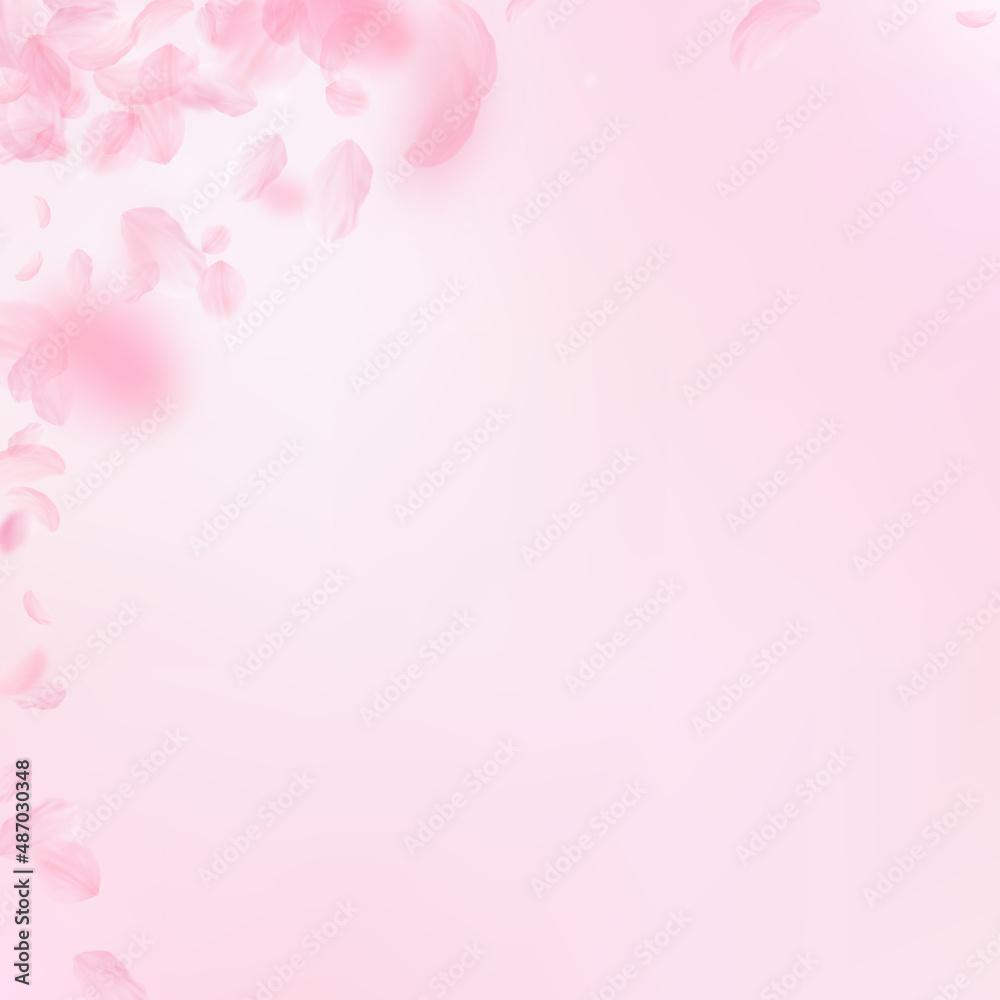 Sakura petals falling down. Romantic pink flowers corner. Flying petals on pink square background. Love, romance concept. Shapely wedding invitation.