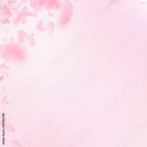 Sakura petals falling down. Romantic pink flowers corner. Flying petals on pink square background. Love, romance concept. Shapely wedding invitation.