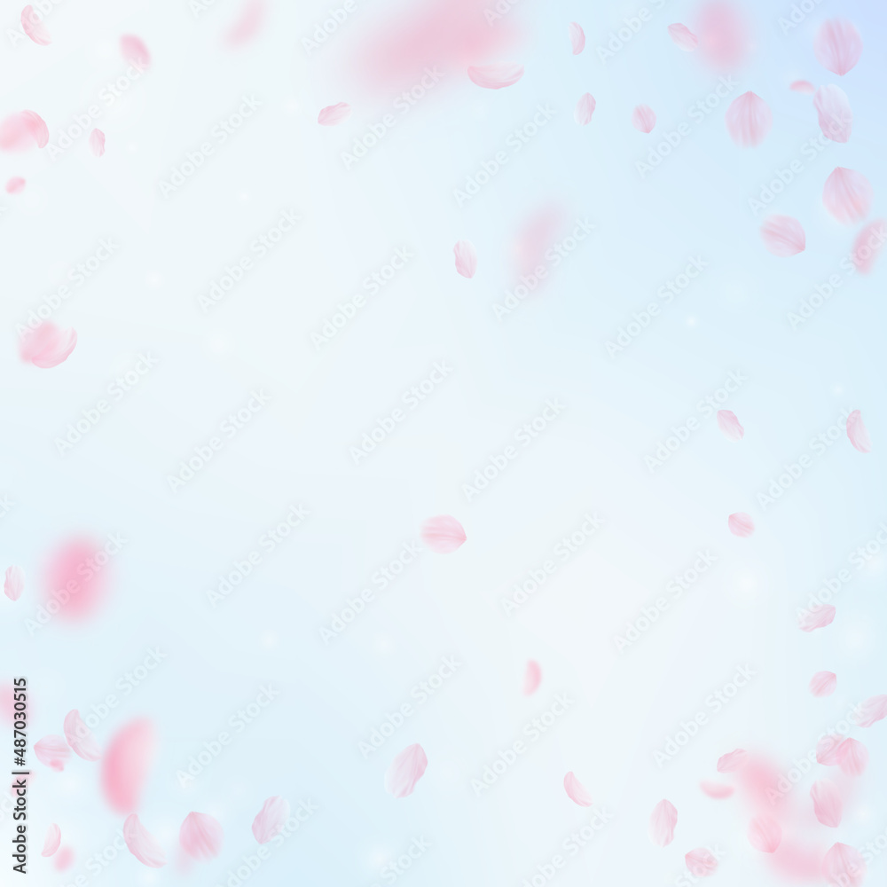 Sakura petals falling down. Romantic pink flowers vignette. Flying petals on blue sky square background. Love, romance concept. Emotional wedding invitation.