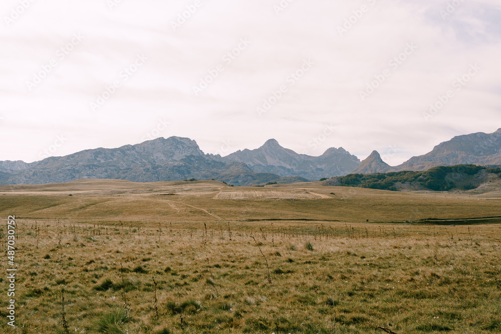 Dry grass in a valley with mountains in the background on the Saddle Pass